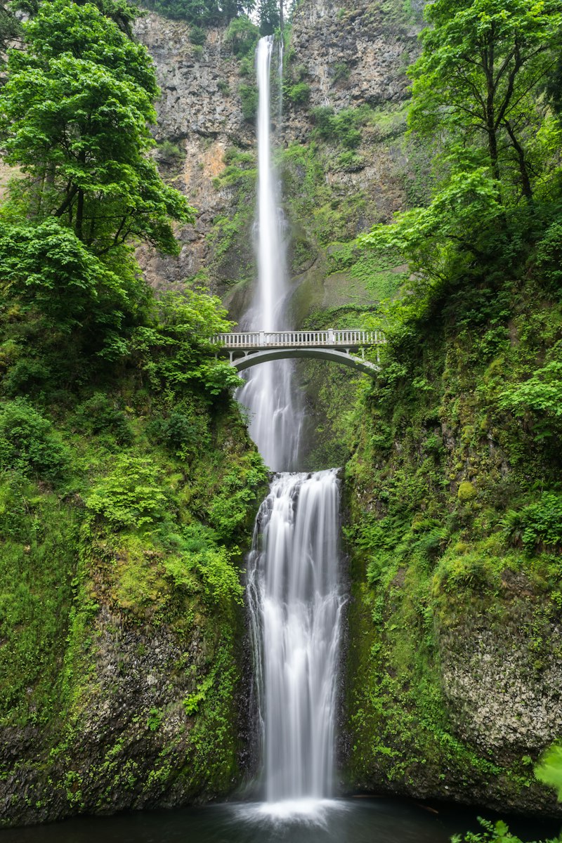 Waterfall bridge over creek